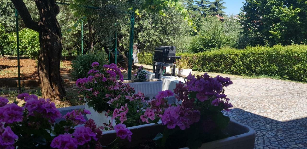 Clara 3 Daire Poreč Dış mekan fotoğraf